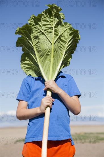 Portrait of boy (6-7) hiding behind large rhubarb leaf