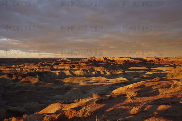 Little Painted Desert at sunset