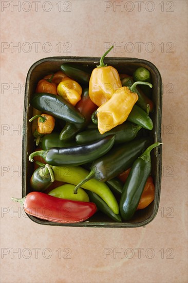 Vegetables in basket