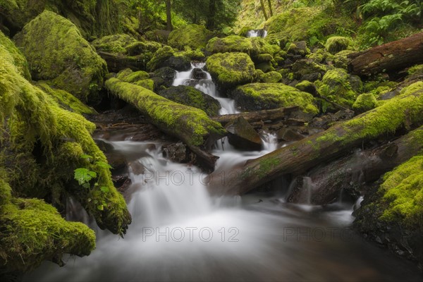 Waterfalls in green forest