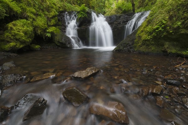 Waterfalls in green forest