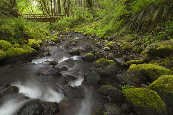 Waterfalls in green forest with footbridge in background