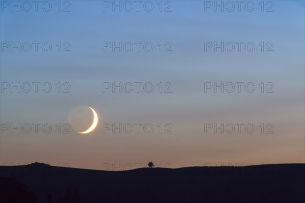 Moon on sky at sunset