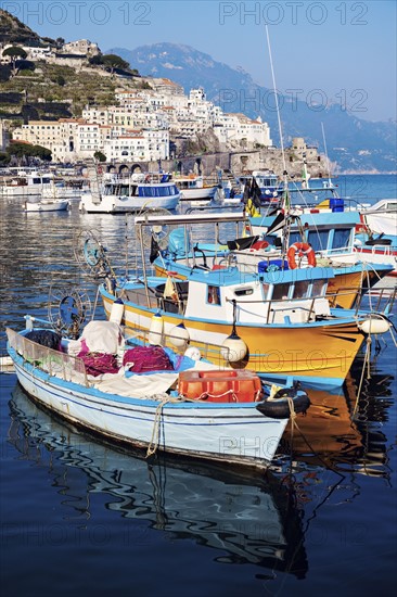 Moored fishing boats with town in background