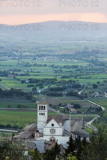 Basilica of St. Francis of Assisi