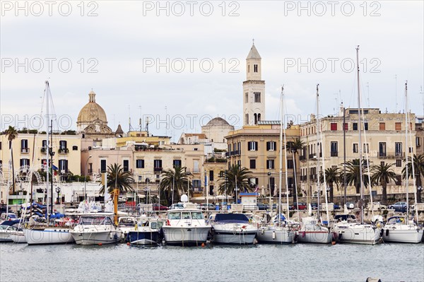 Boats in marina with city buildings in background