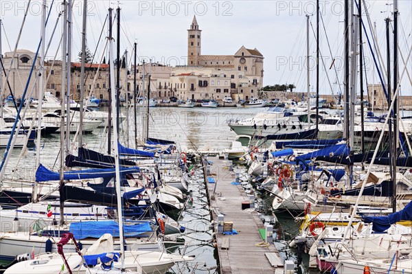 Boats in marina with city buildings in background