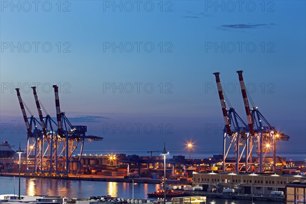 Genoa harbor cranes at sunrise