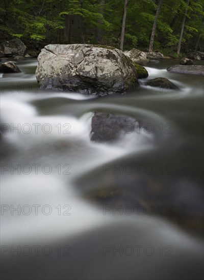 Stream with boulder in middle in forest