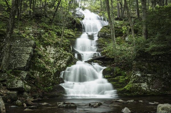 Waterfall falling into river in middle of forest