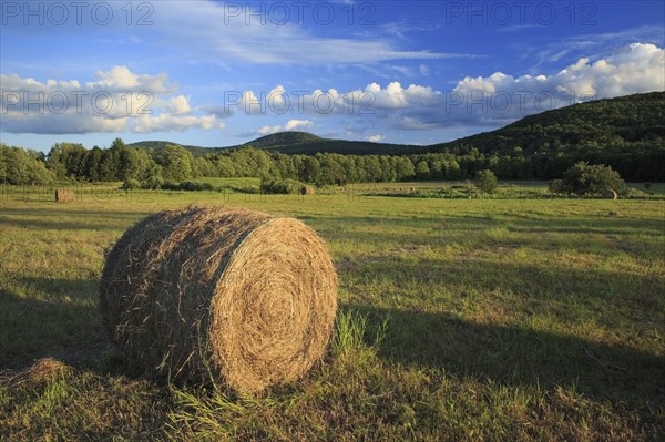 Hay bale in field in agricultural landscape