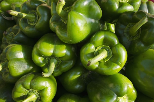 Full frame of green bell peppers