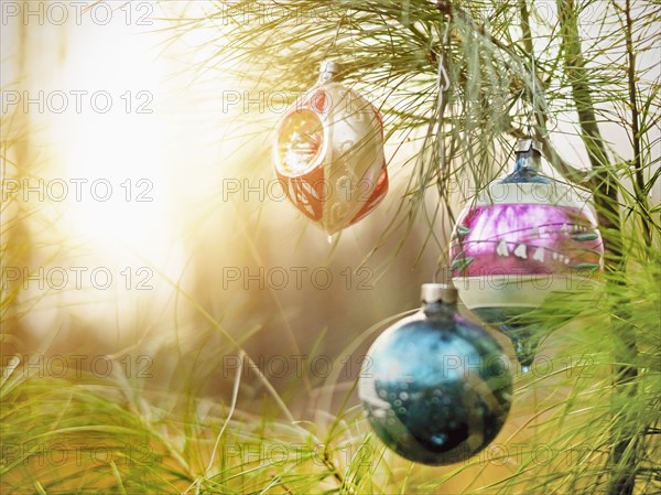 Christmas ornaments hanging from tree.