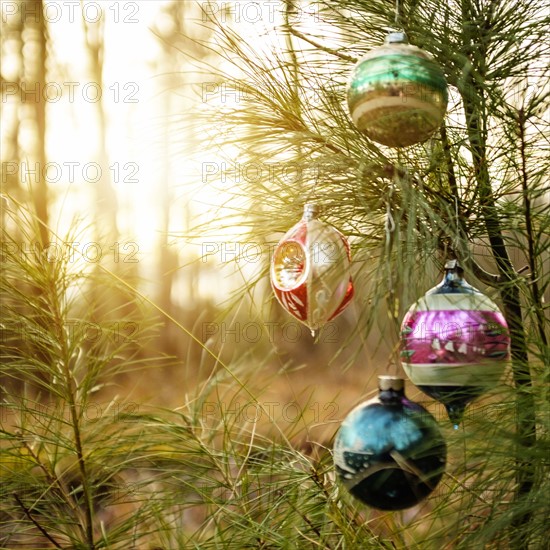 Christmas ornaments hanging from tree.