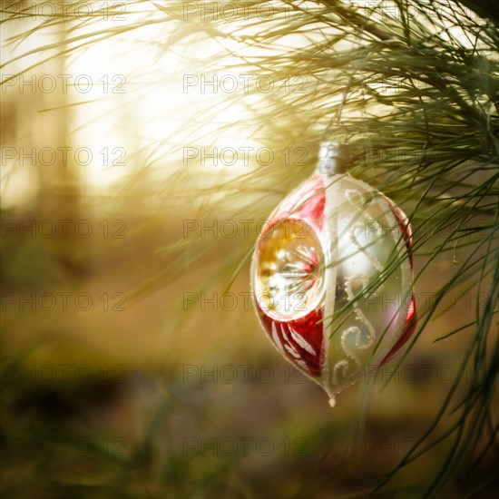 Christmas ornaments hanging from tree.