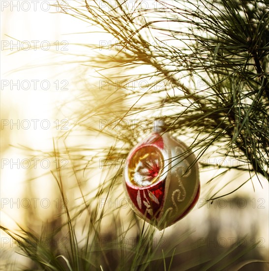 Christmas ornaments hanging from tree.