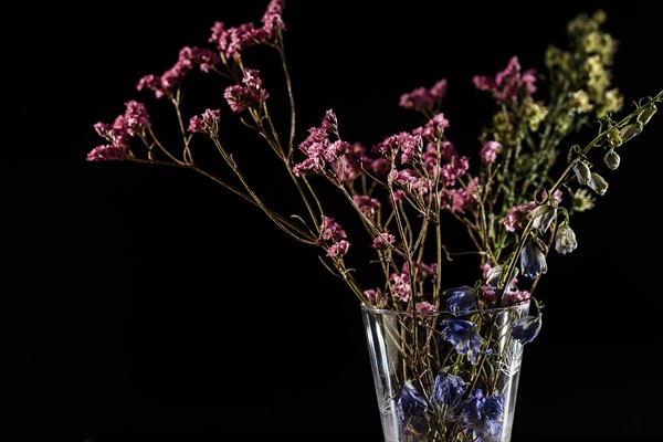 Dried flowers in vase.