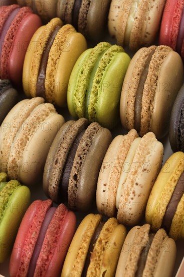 Multi colored macaroons.