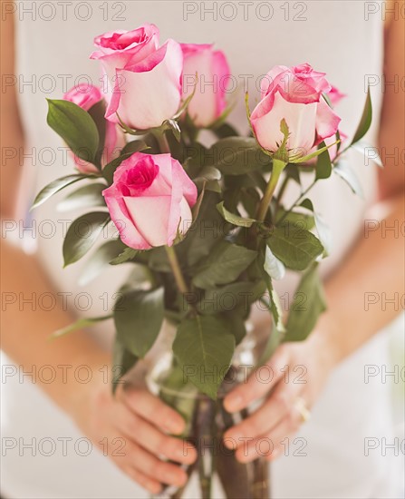 Mid section of woman holding bunch of pink roses