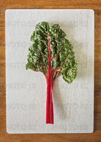 Red chard leaf on cutting board