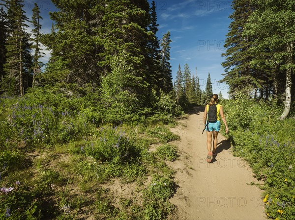 Mature woman walking in forest