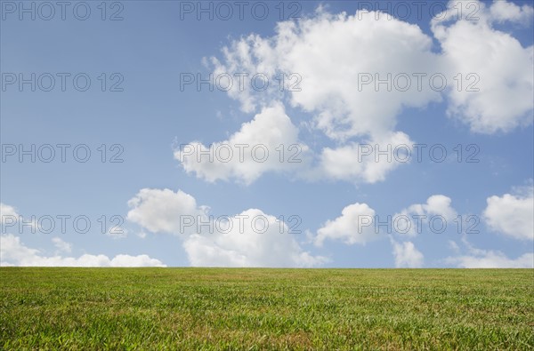 Sky above grassy field