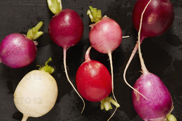 Wet radishes