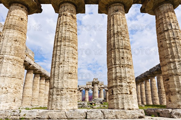 Old architectural columns of Paestum ruins