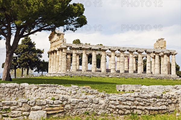 Old architectural columns of Paestum ruins