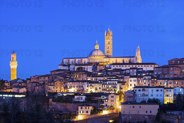 Townscape with Siena Cathedral at dusk