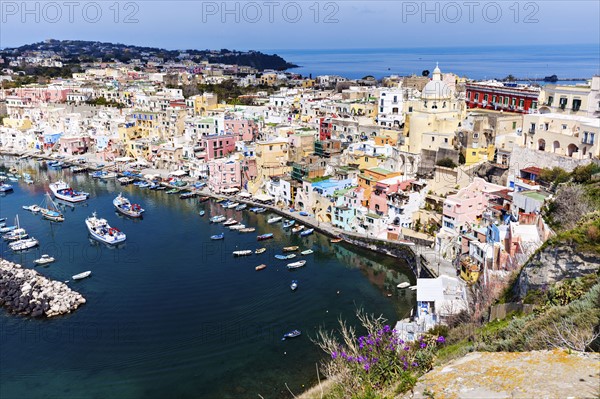 Townscape over Marina Corricella on Procida Island