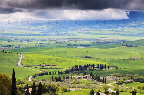 Scenic view of green rolling landscape