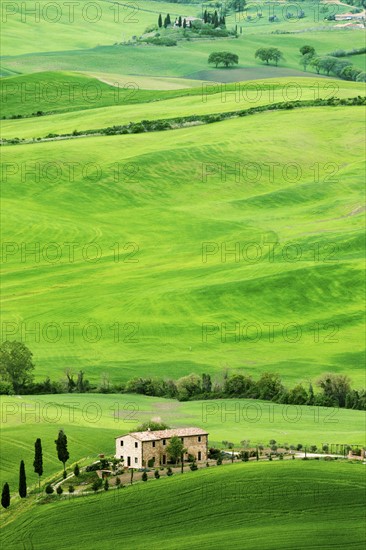 Green rolling landscape with farmhouse
