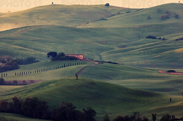 Landscape with green hills