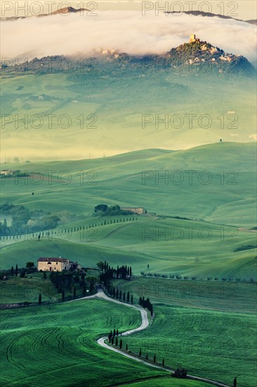 Landscape with green hills