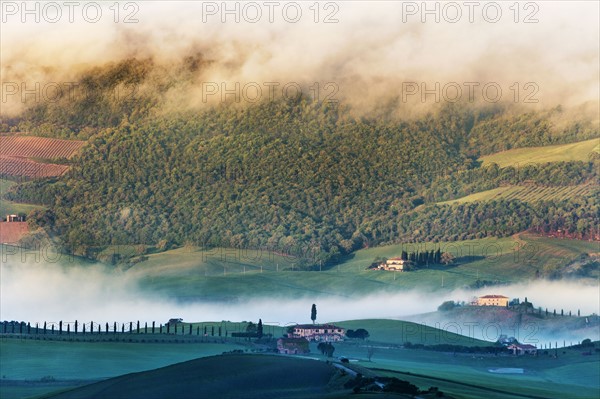 Landscape with green hills and forest