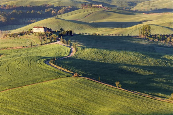 Landscape with green hills