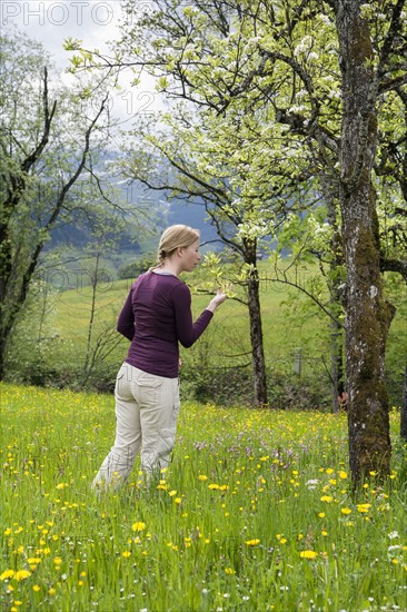 Woman smelling tree blossoms