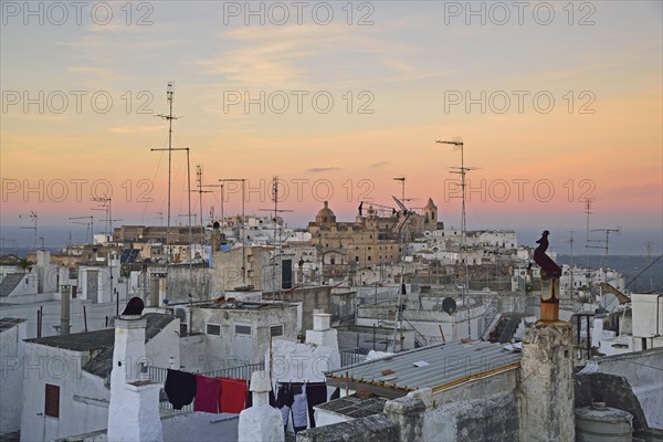 Townscape at sunset