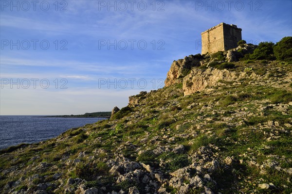 Medieval Torre dell'Alto tower on coastline