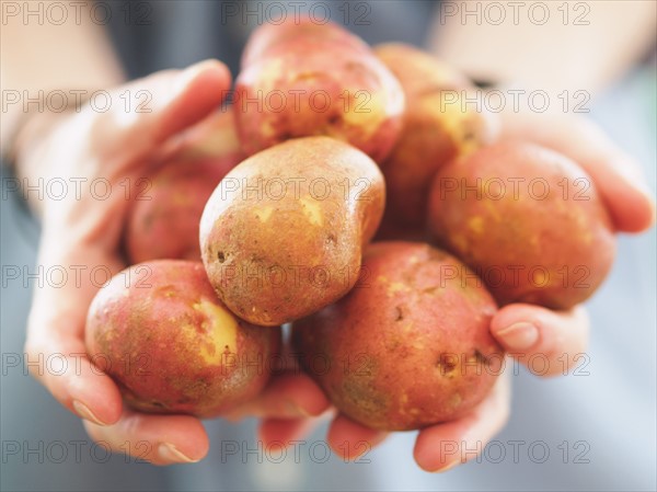 Woman holding potatoes