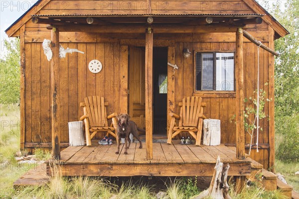 Dog on porch of wooden hut