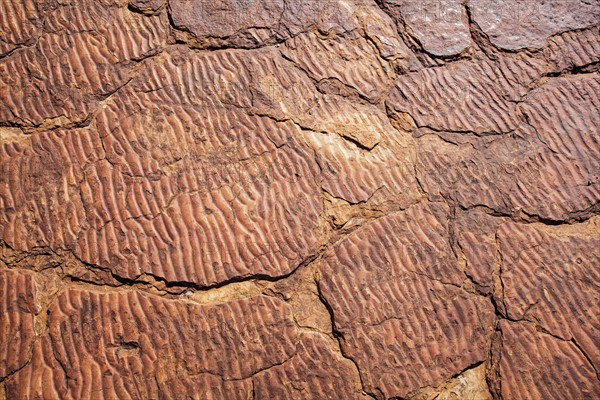 Close up of rock from canyon