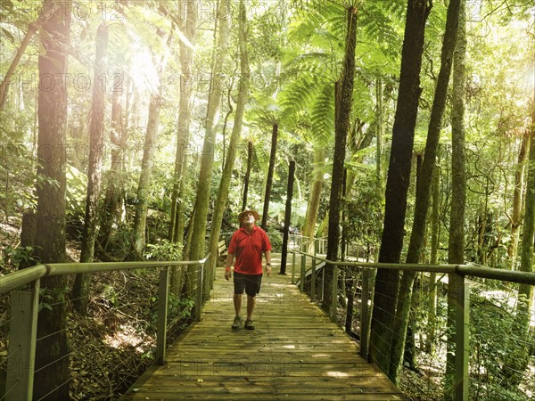 Man walking in forest