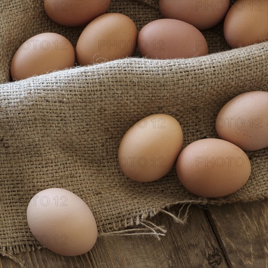 Fresh animal eggs on wood.