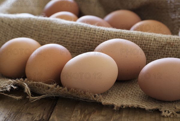 Fresh animal eggs on wood.