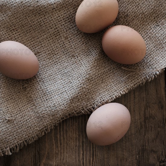 Fresh animal eggs on wood.