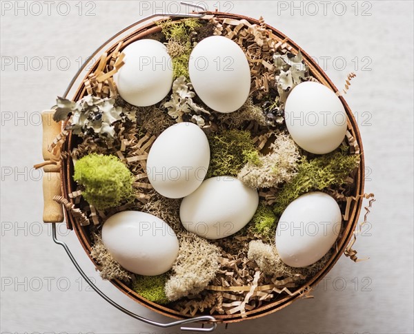 Eggs in basket