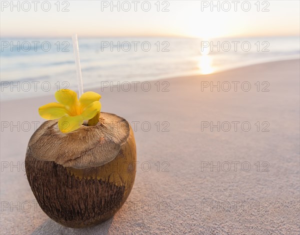 Tropical cocktail in coconut shell on sandy beach