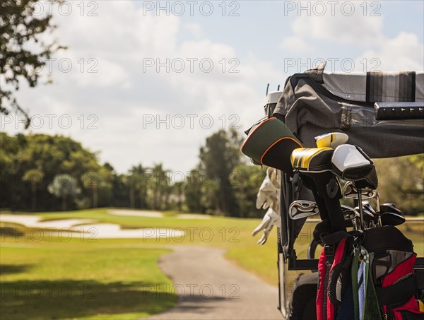 Golf clubs in golf bag